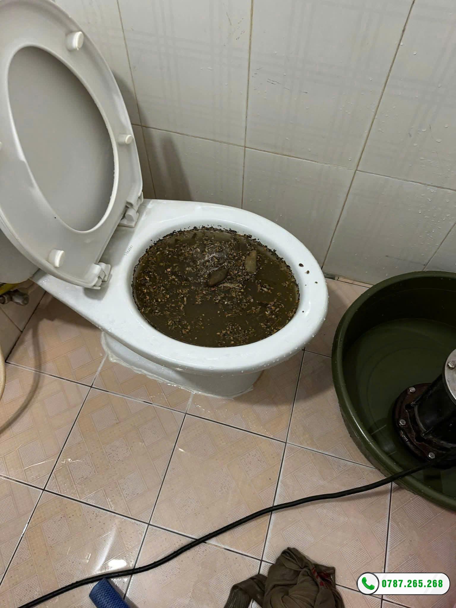 thông tắc bồn cầu bình định