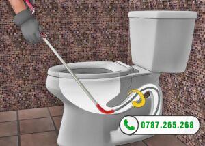 bồn cầu bị nghẹt tại Đà Lạt